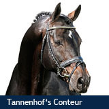 Tannehof's Conteur