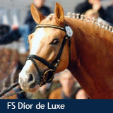 FS Dior de Luxe