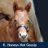 Knightwoods Honeys Hot Gossip